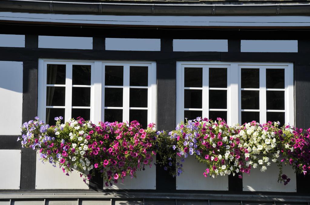 Landidyll Hotel Haus Hochstein Eslohe Exterior foto